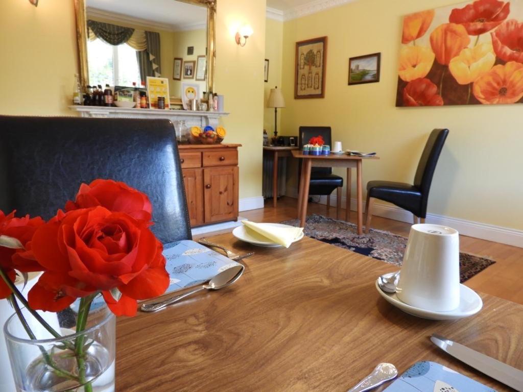 Cillcearn House Bed & Breakfast Killarney Exterior photo