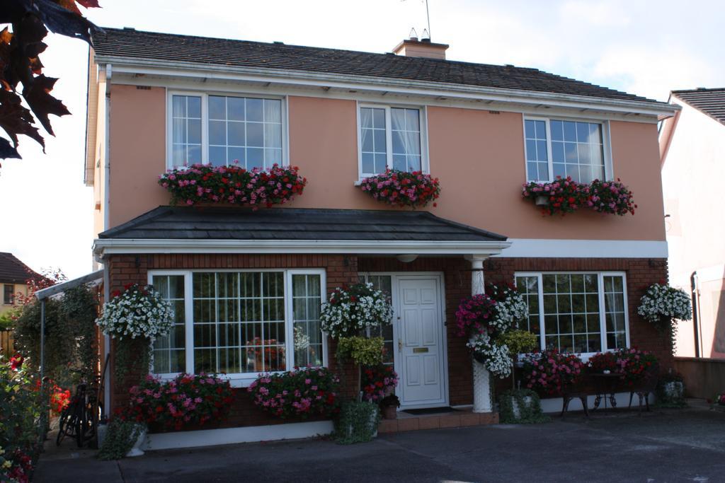 Cillcearn House Bed & Breakfast Killarney Exterior photo